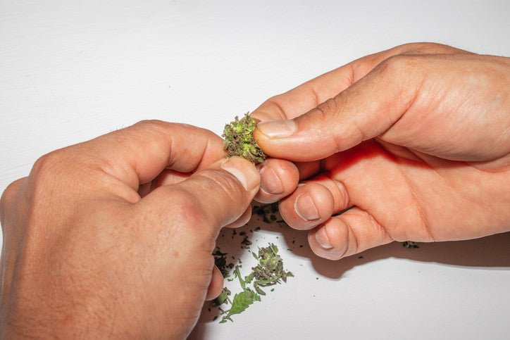 How to Grind Weed Without a Grinder - DynaVap.eu