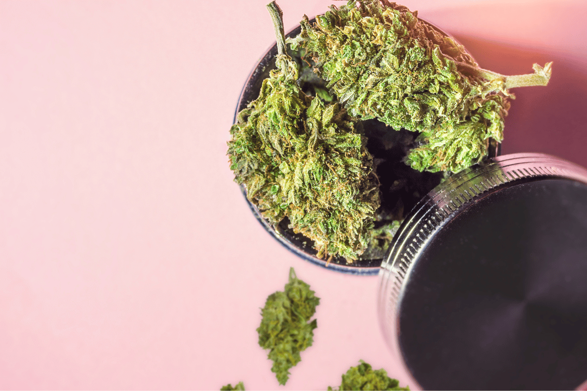 How to Keep Weed Fresh - DynaVap.eu