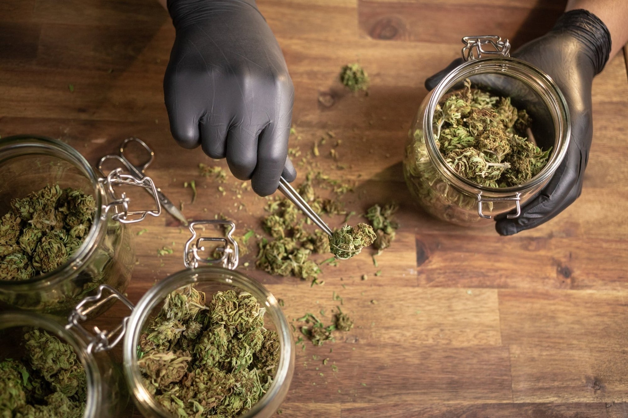 Different Types of THC: A Beginner’s Guide to THCP and THC-O - DynaVap.eu